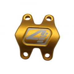 Front Caps 4ZA Cir(Pro) Stem Gold