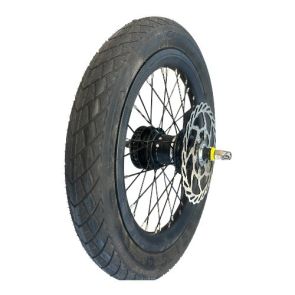 Rear Wheel 16" Belt Drive Nexus Silent Clutch W/ Discbrake