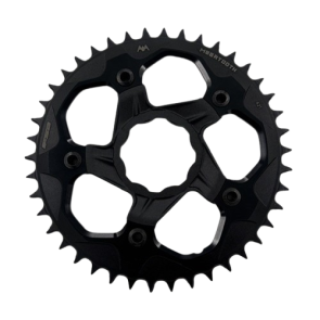 Chainring FSA TQ E-bike Spider+CR 42T (W0192+WA669C) + bolts